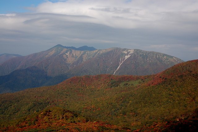 b0203588_15332578.jpg