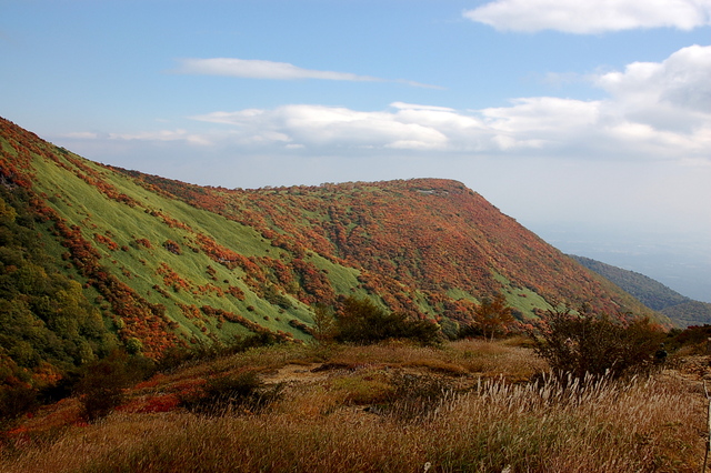 b0203588_1536528.jpg