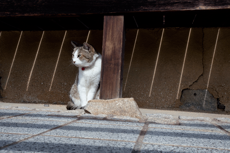 c0193289_23532057.gif
