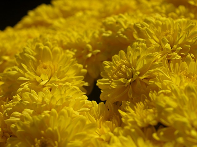 d0145790_7442672.jpg