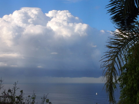 f0121591_10461720.jpg