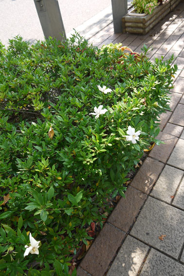 f0222692_19563449.jpg
