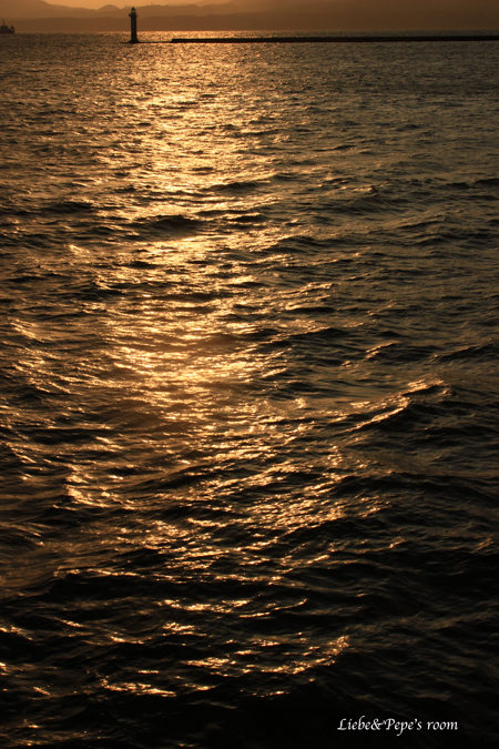 f0001895_1727584.jpg