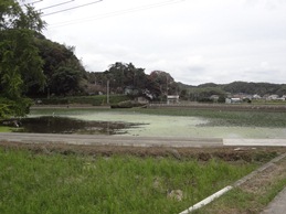 b0146196_15565769.jpg