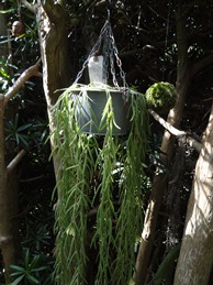 b0146196_16163231.jpg