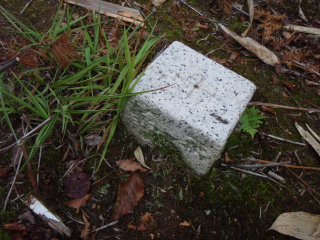 b0039898_16211554.jpg
