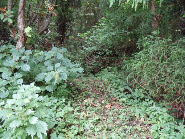 b0039898_1621538.jpg