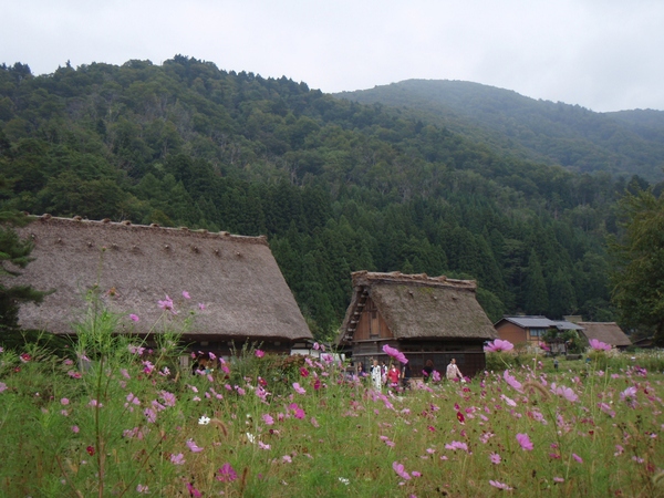 b0039898_16283271.jpg