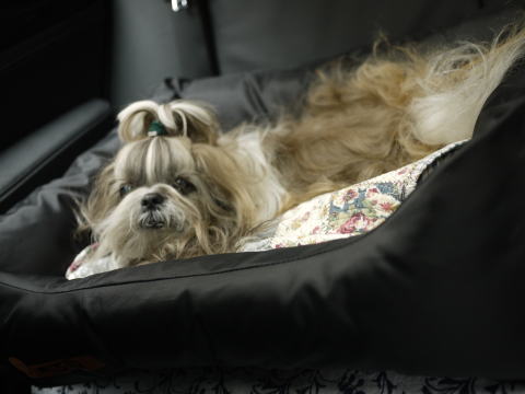 c0090198_1285768.jpg