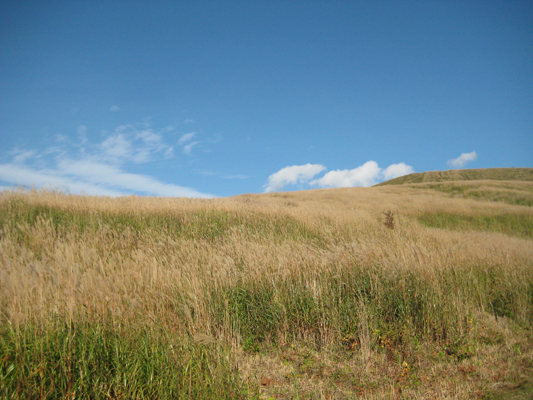 b0097200_18444920.jpg