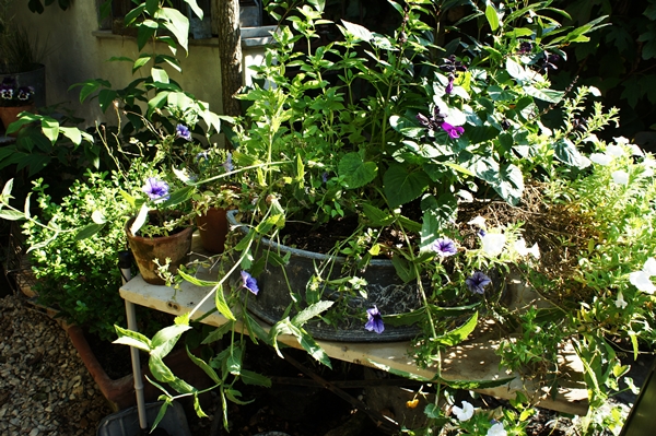 e0277800_1530197.jpg