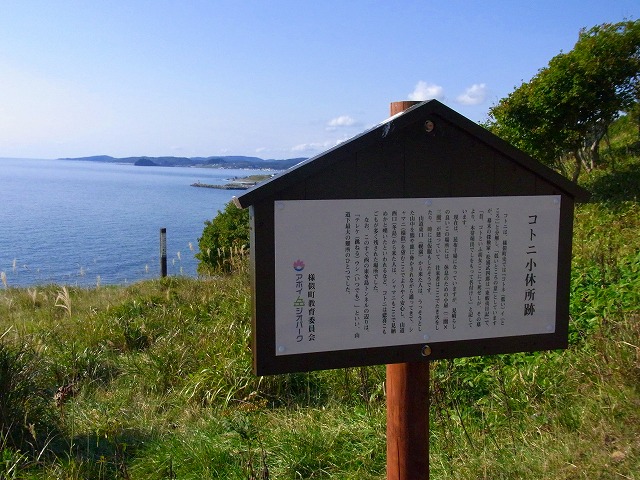 f0157901_10244230.jpg
