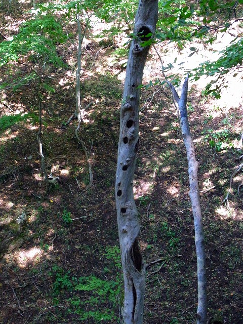 f0157901_10263811.jpg