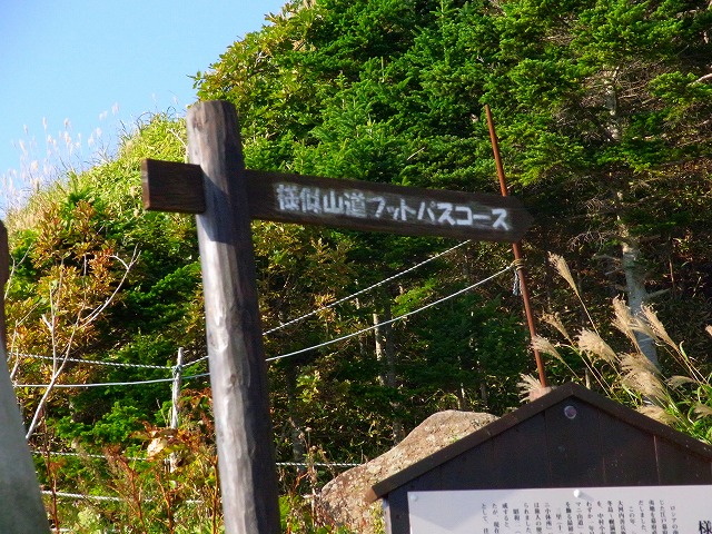 f0157901_10271296.jpg