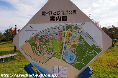 e0145805_1901386.jpg