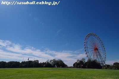 e0145805_1913520.jpg