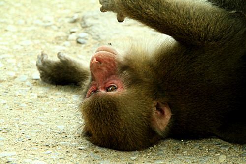 b0014607_2083353.jpg