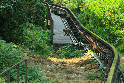 b0014607_20882.jpg