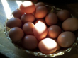 d0259209_14214445.png