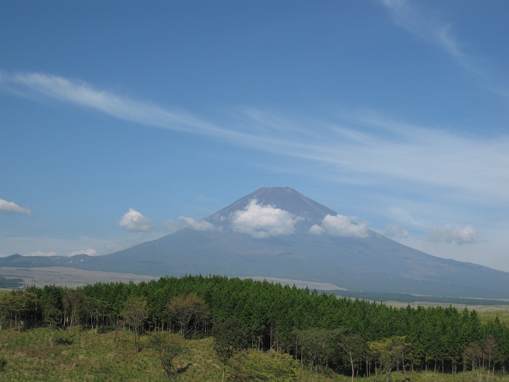 f0179209_10431278.jpg