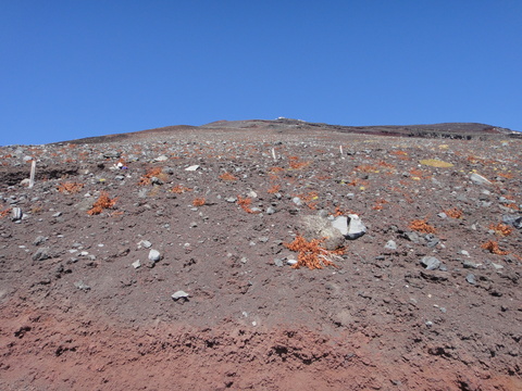 c0175712_0192110.jpg