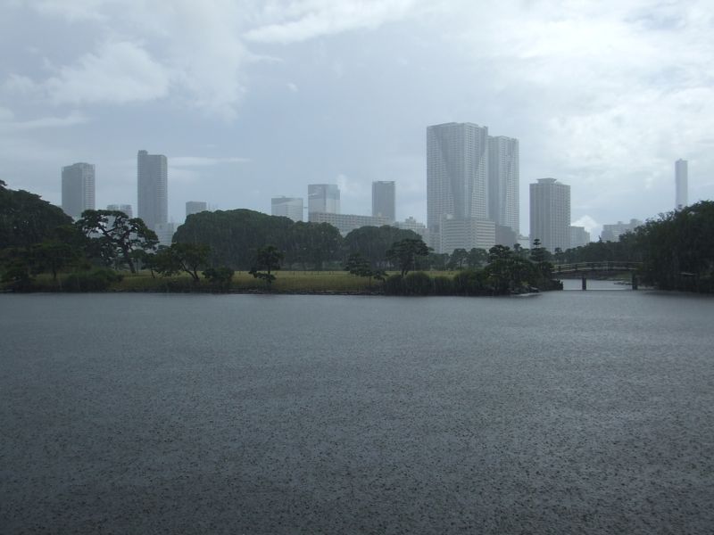 c0167813_2463097.jpg