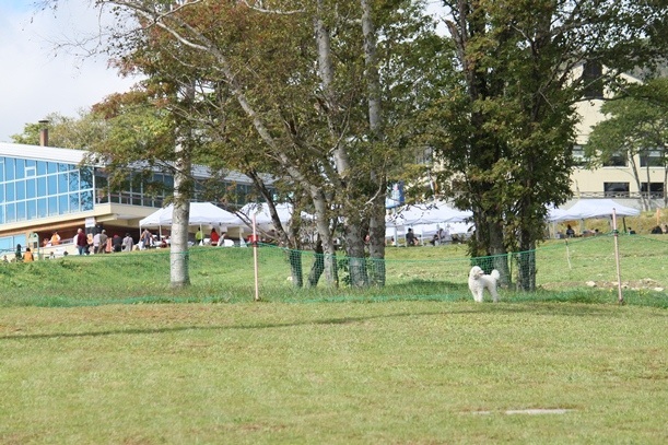 a0109914_0563678.jpg