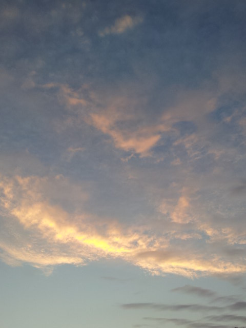 b0115215_16435875.jpg