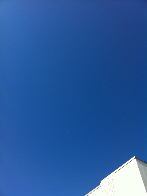 e0141819_96223.jpg