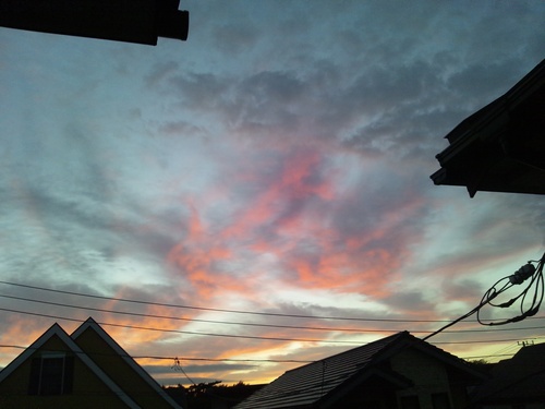 c0150520_2142889.jpg