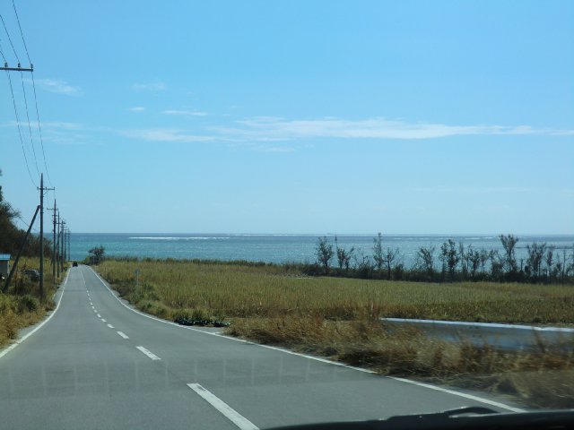 f0209122_1202820.jpg