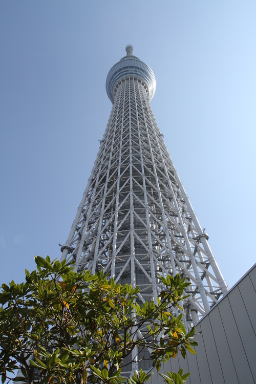 b0162824_21184728.jpg