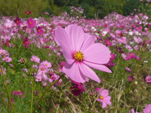 c0009528_22273115.jpg