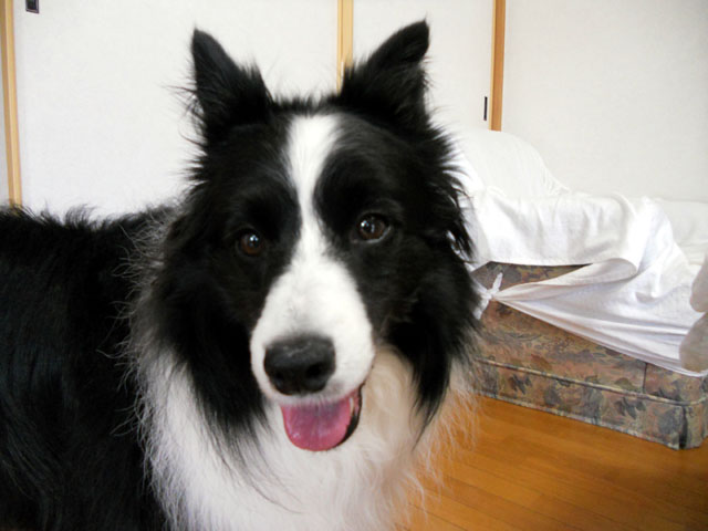 d0059230_89254.jpg