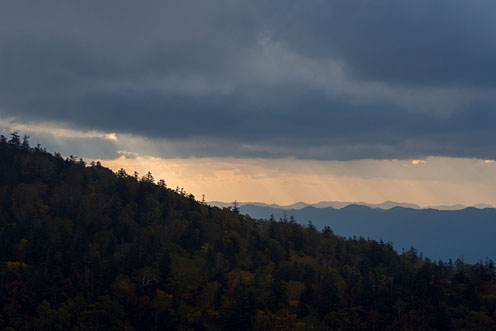 e0025030_8435358.jpg