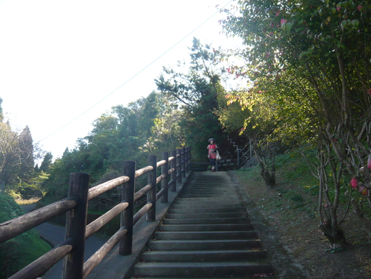 a0206332_8535012.jpg