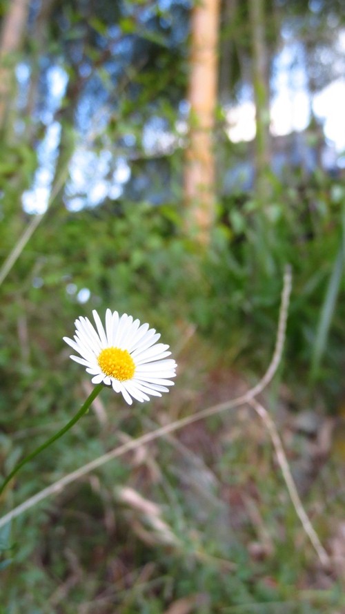 d0062132_20235859.jpg
