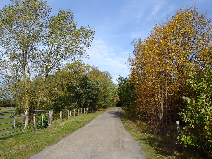 a0282833_21114850.jpg