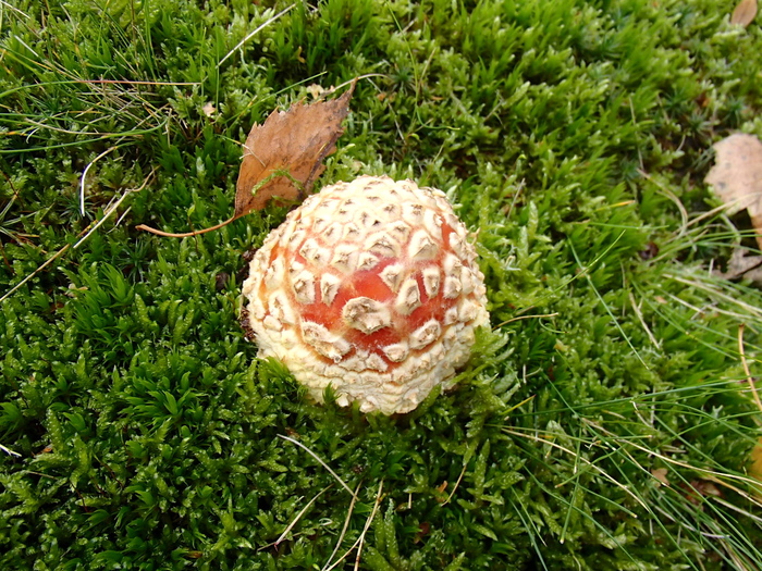 a0282833_21141010.jpg