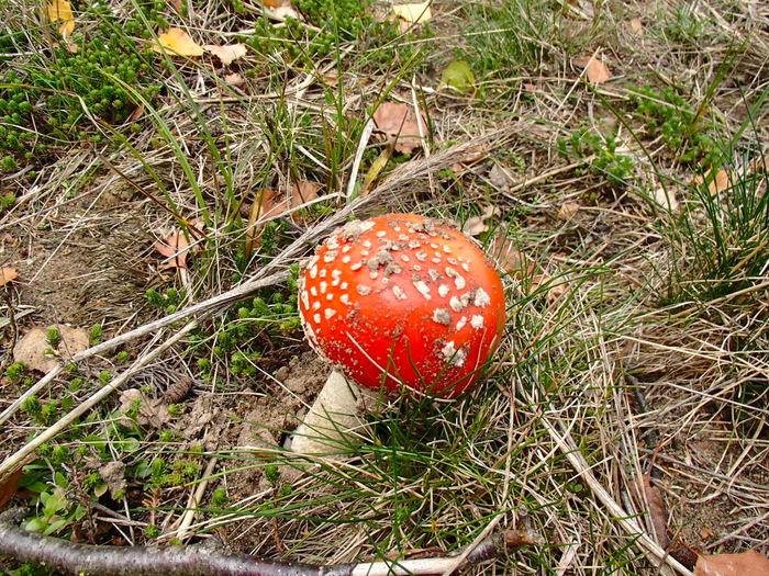 a0282833_21164228.jpg