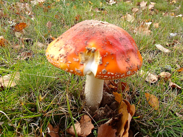 a0282833_21183350.jpg