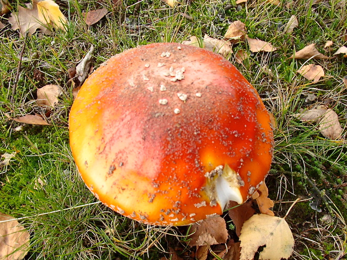 a0282833_21195098.jpg