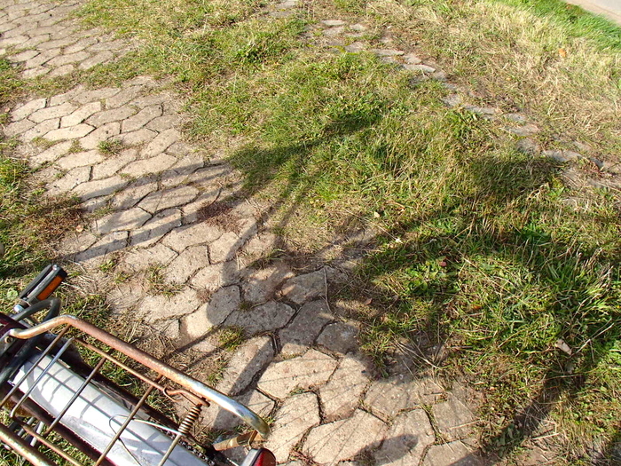 a0282833_21315523.jpg