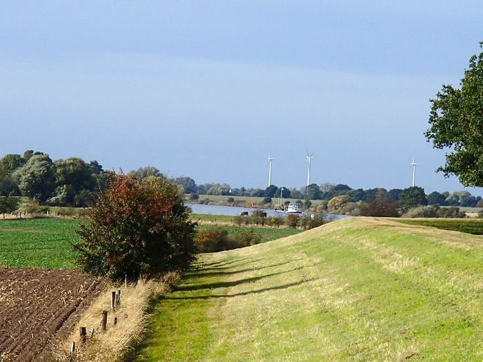 a0282833_2172877.jpg