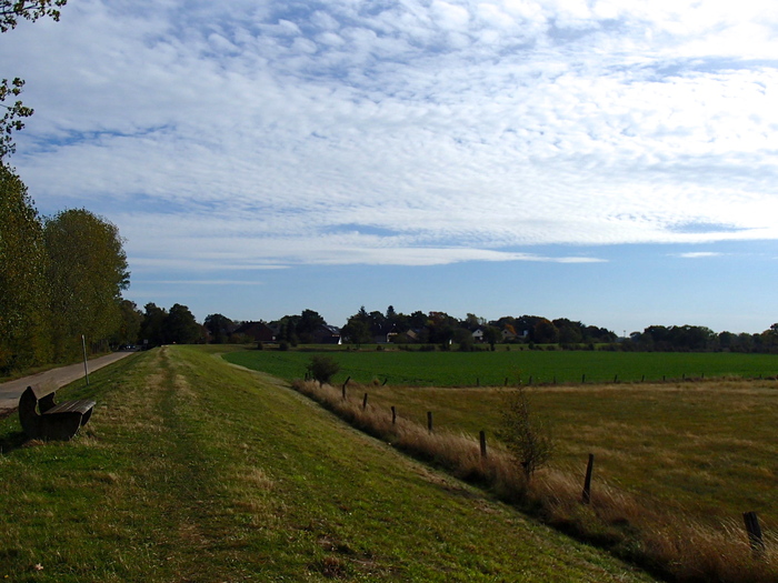 a0282833_2181878.jpg
