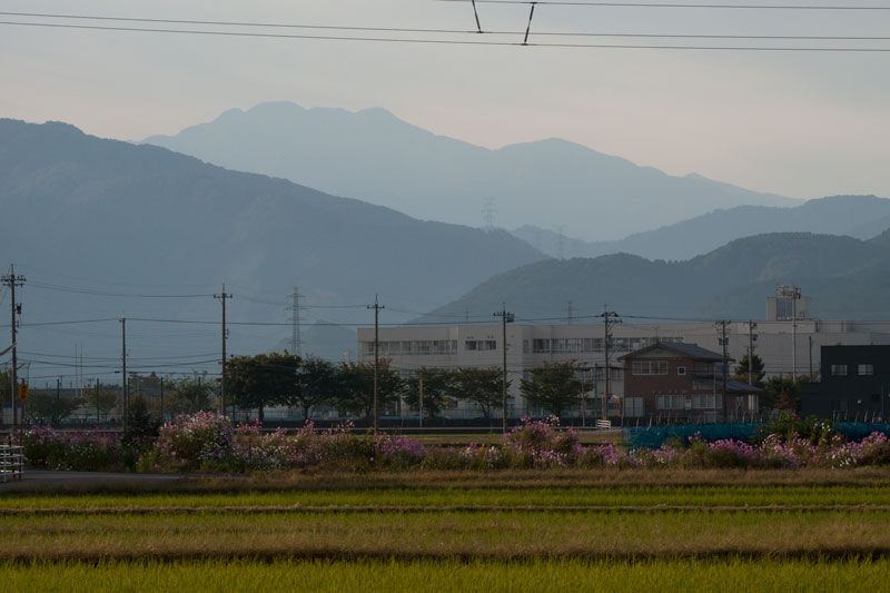b0177233_458623.jpg