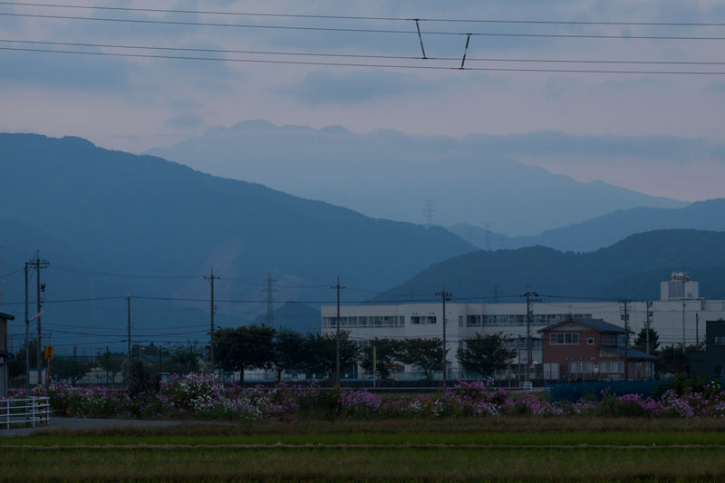 b0177233_4593846.jpg