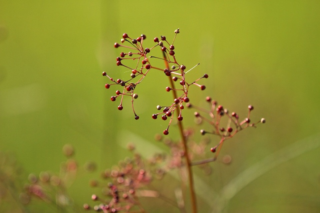 a0242438_19164428.jpg