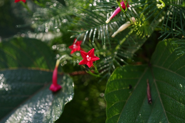a0242438_19176100.jpg