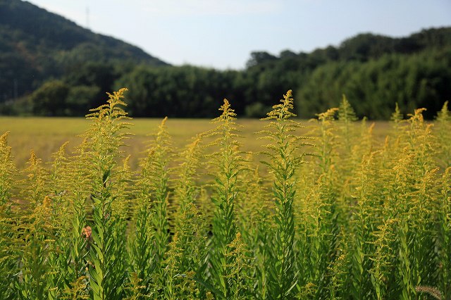 a0242438_19183018.jpg